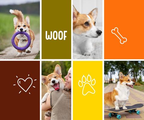 Show full view: Frisco Personalized Woof Landscape Gallery-Wrapped Canvas Poster, 16" x 20" slide 3 of 3