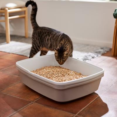 Show full view: Frisco Pine Pellet Unscented Non-Clumping Wood Cat Litter, 40-lb bag slide 5 of 9