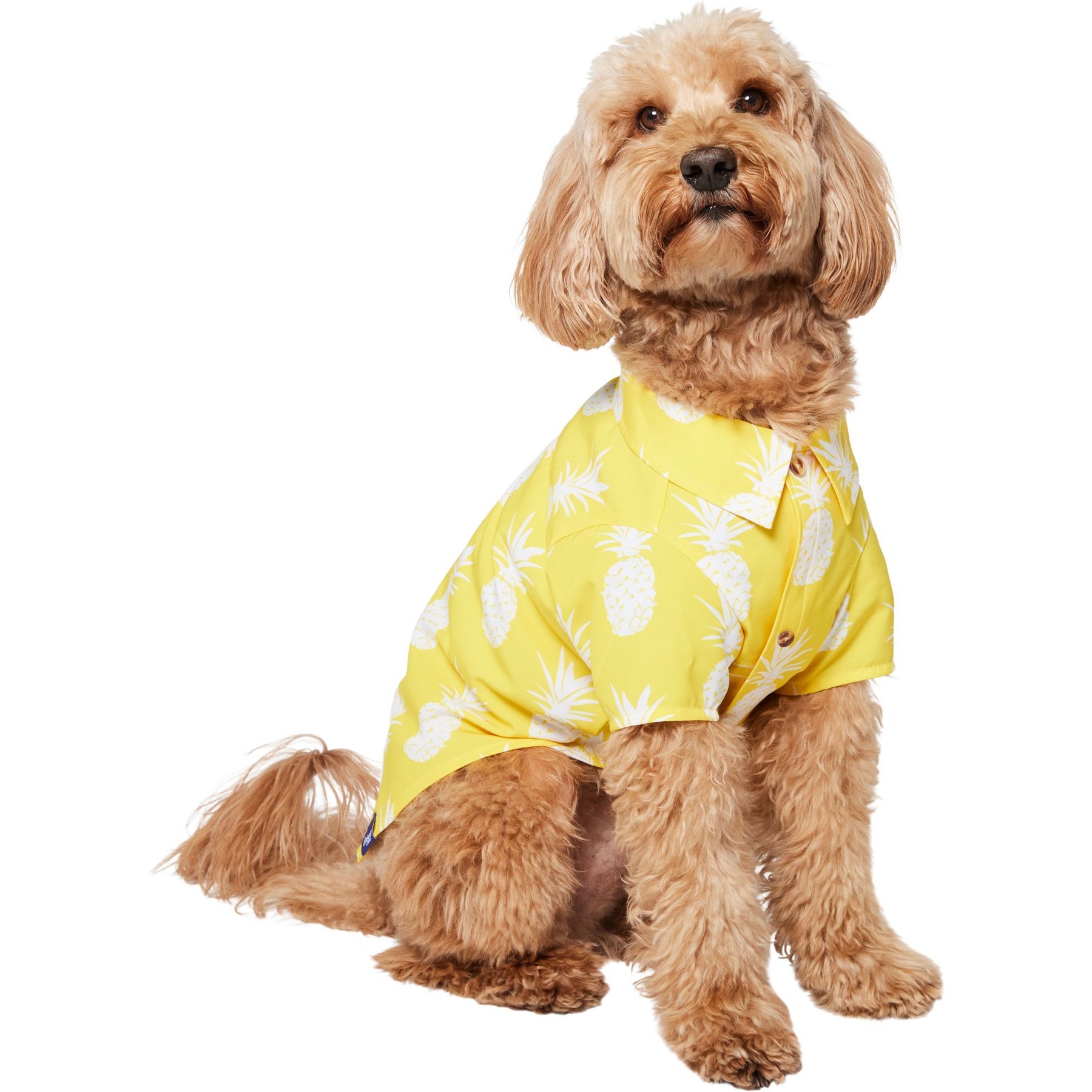 Frisco Pineapple Camp Dog & Cat Shirt, Yellow, Large