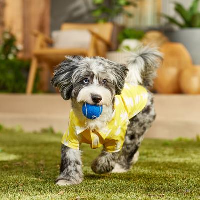 Show full view: Frisco Pineapple Camp Dog & Cat Shirt, Yellow, Large slide 7 of 10