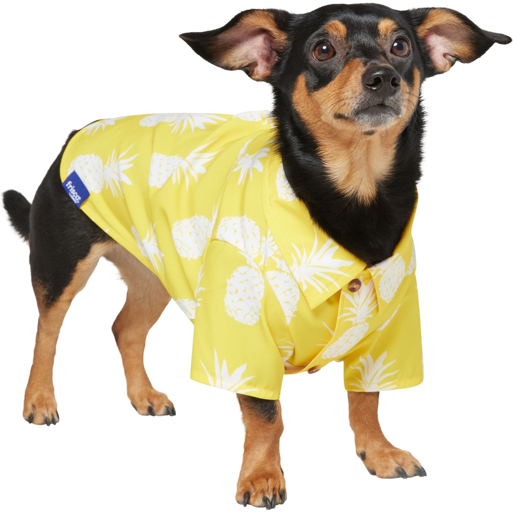 Frisco Pineapple Camp Dog & Cat Shirt, Yellow, Medium