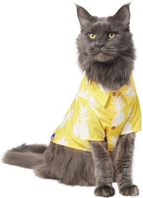 Show full view: Frisco Pineapple Camp Dog & Cat Shirt, Yellow, Medium slide 3 of 11