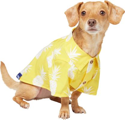 Show full view: Frisco Pineapple Camp Dog & Cat Shirt, Yellow, Small slide 3 of 11