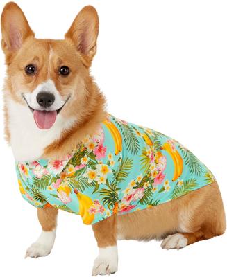Show full view: Frisco Pineapple Hawaiian Camp Dog & Cat Shirt, Large slide 3 of 10