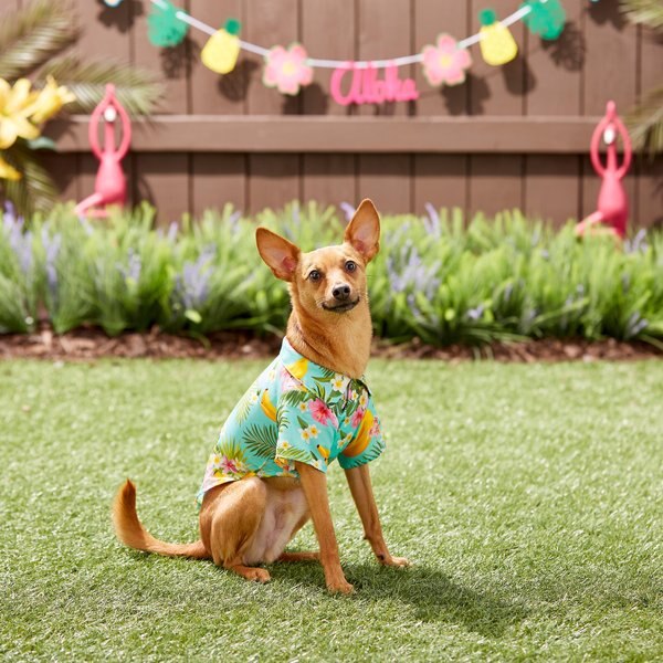 Frisco Pineapple Hawaiian Camp Dog & Cat Shirt