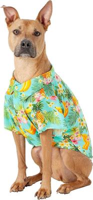 Show full view: Frisco Pineapple Hawaiian Camp Dog & Cat Shirt, X-Large slide 4 of 11