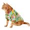Show in main carousel: Frisco Pineapple Hawaiian Camp Dog & Cat Shirt, X-Small slide 4 of 12
