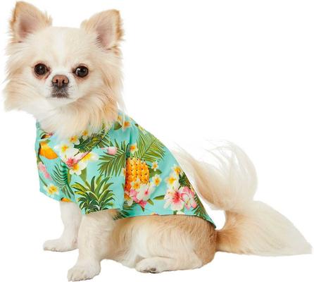 Show full view: Frisco Pineapple Hawaiian Camp Dog & Cat Shirt, X-Small slide 5 of 12