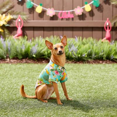 Show full view: Frisco Pineapple Hawaiian Camp Dog & Cat Shirt, X-Small slide 9 of 12