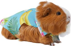 Frisco Pineapple Hawaiian Camp Guinea Pig Shirt, Green