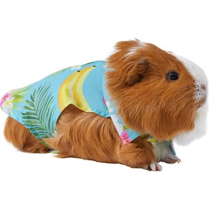 Frisco Pineapple Hawaiian Camp Guinea Pig Shirt, Green