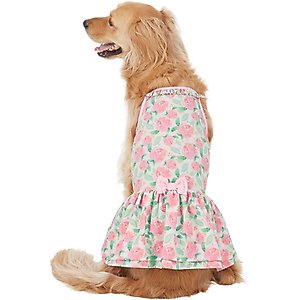 Frisco Pink Floral Dog & Cat Dress, Medium