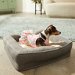 Frisco Pink Floral Dog & Cat Dress, Medium