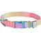 Show in main carousel: Frisco Pink Ombre Style Dog Collar, MD - Neck: 14 – 20-in, Width: 3/4-in slide 1 of 6