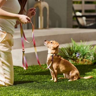 Show full view: Frisco Pink Ombre Style Dog Leash, LG - Length: 6-ft, Width: 1-in slide 6 of 7