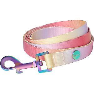 Frisco Pink Ombre Style Dog Leash, SM - Length: 6-ft, Width: 5/8-in