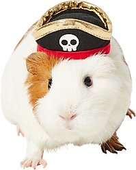 Frisco Pirate Guinea Pig Costume Hat, One Size, Black