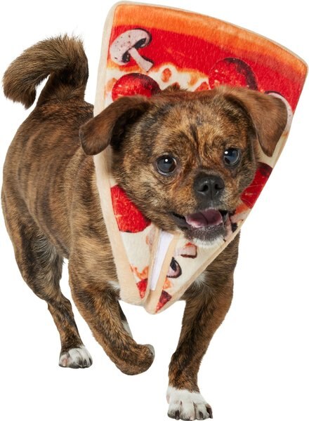Frisco Pizza Slice Dog & Cat Costume Accessory