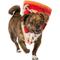 Show in main carousel: Frisco Pizza Slice Dog & Cat Costume Accessory, X-Small/Small slide 3 of 11