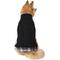 Show in main carousel: Frisco Plaid Cable Knit Dog & Cat Sweater, Black, Medium slide 1 of 8