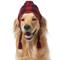 Show in main carousel: Frisco Plaid Dog & Cat Knitted Hat, Red Buffalo Plaid, X-Large/XX-Large slide 1 of 6
