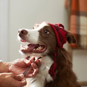 Frisco Plaid Dog & Cat Knitted Hat, Red Buffalo Plaid, X-Small/Small
