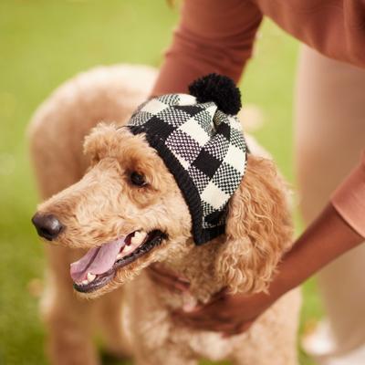 Show full view: Frisco Plaid Dog & Cat Knitted Hat, White Buffalo Plaid, X-Large/XX-Large slide 4 of 5