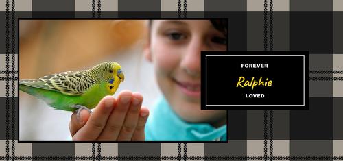 Show full view: Frisco Plaid White Personalized Coffee Mug, 15-oz slide 3 of 6