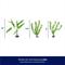 Show in main carousel: Frisco Plastic Aquarium Plant Set, 3 count slide 2 of 4