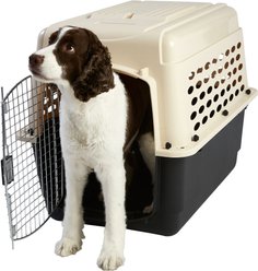 Frisco Plastic Dog & Cat Kennel, Almond & Black, Intermediate