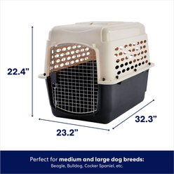 Frisco Plastic Dog & Cat Kennel, Almond & Black, Intermediate slide 2 of 7