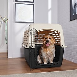 Frisco Plastic Dog & Cat Kennel, Almond & Black, Large