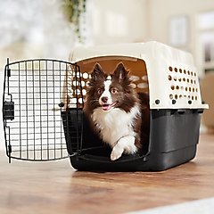 Frisco Plastic Dog & Cat Kennel, Almond & Black, Medium
