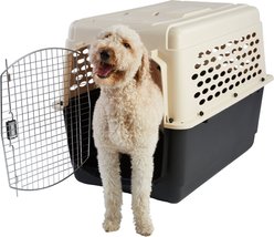 Frisco Plastic Dog & Cat Kennel, Almond & Black, X-Large