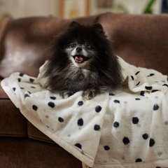 Frisco Plush Cat & Dog Throw Blanket, Doodle Dots, 40-in