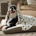 Frisco Plush Cat & Dog Throw Blanket, Doodle Dots, 60-in