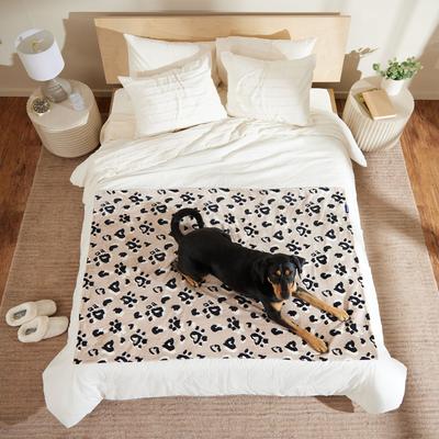 Show full view: Frisco Plush Cat & Dog Throw Blanket, Leopard Heart Paws, 60-in slide 5 of 7