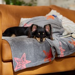 Frisco Plush Cat & Dog Throw Blanket, Star Party, 40-in