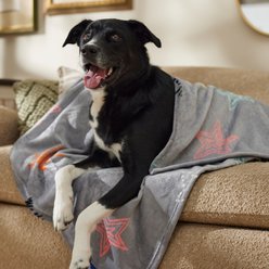 Frisco Plush Cat & Dog Throw Blanket, Star Party, 60-in