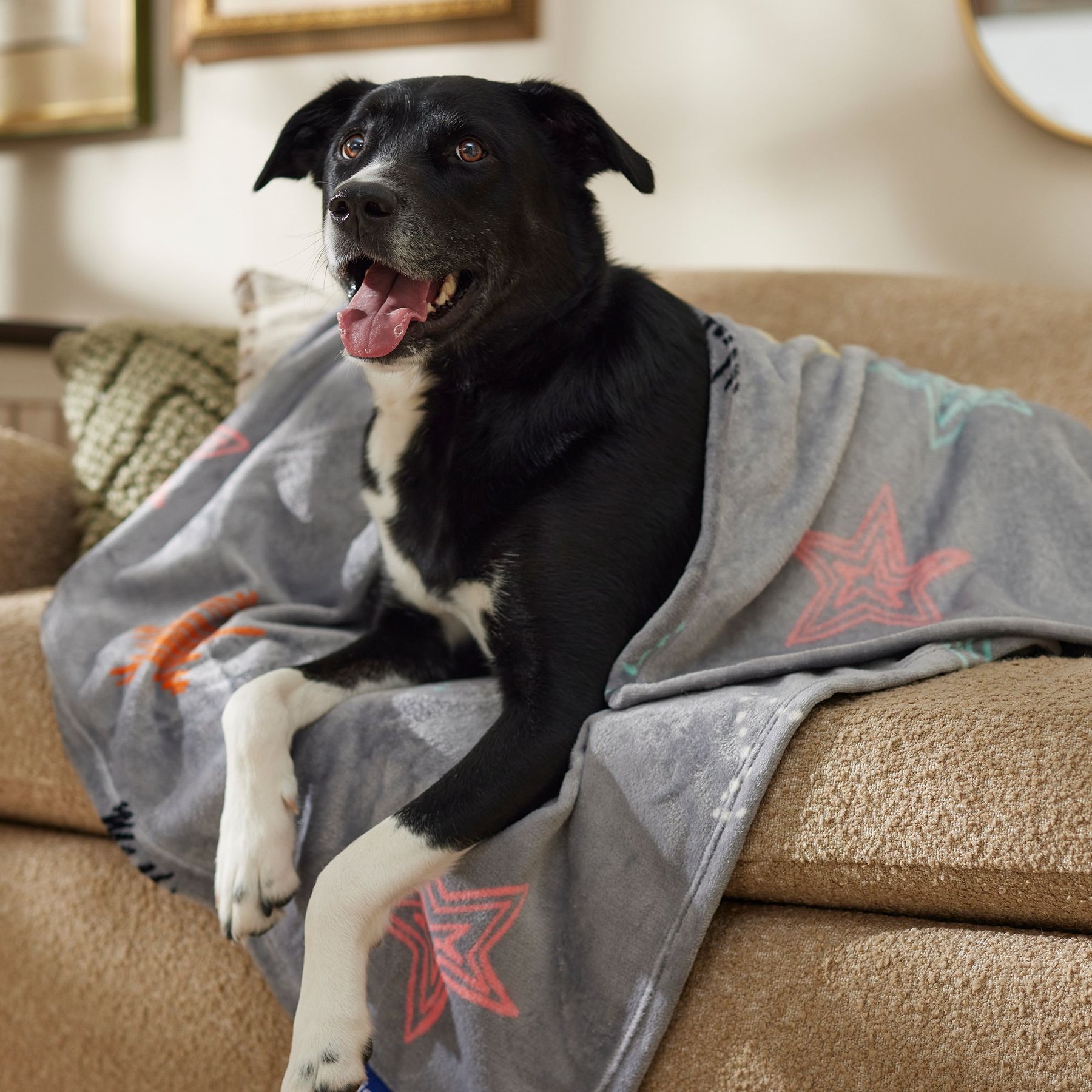 DOG IN BLANKET CDセット Dog In Blanket – ドッグ・イン・ブランケット – CD (Mini, Maxi