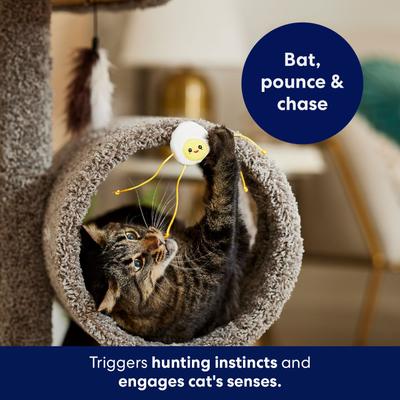 Show full view: Frisco Plush Dangly Egg Buddy Cat Toy with Catnip slide 5 of 7