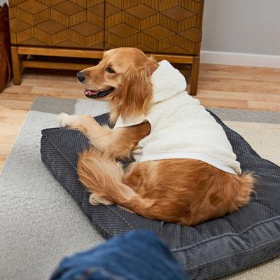 Show full view: Frisco Plush Fur Dog & Cat Hoodie, Gold Dotted, X-Large slide 9 of 10