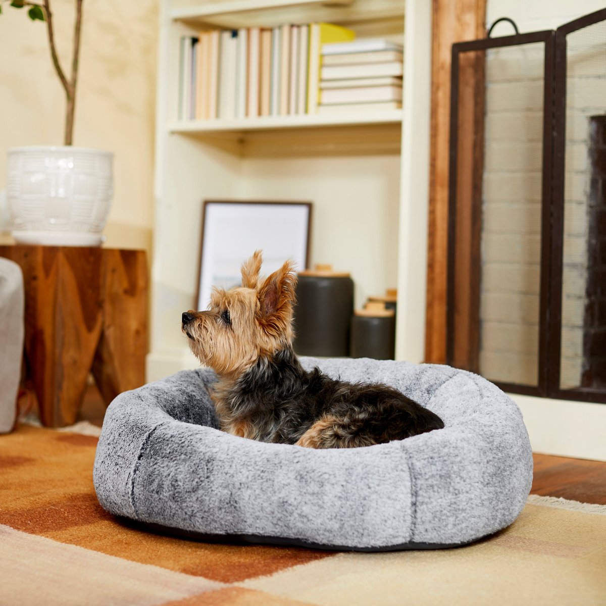 Frisco Plush High Low Bolster Cuddler Cat & Dog Bed, Gray, Medium