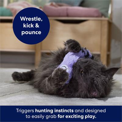 Show full view: Frisco Plush Kicker Cat Toy, Purple Raccoon slide 5 of 7
