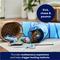Show in main carousel: Frisco Plush, Teaser, Ball & Tri-Tunnel Variety Pack Cat Toy with Catnip, 20 count, Blue slide 4 of 6