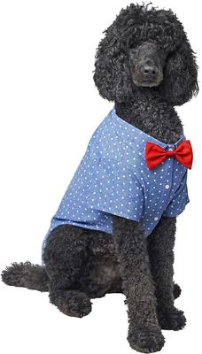 Show full view: Frisco Polka Dot Chambray Dog & Cat Button Up Shirt, XXX-Large slide 3 of 9