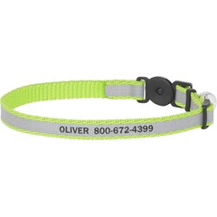 Frisco Polyester Personalized Reflective Cat Collar with Bell, Lime Green, 8 to 12-in neck, 3/8-in wide