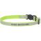 Show in main carousel: Frisco Polyester Personalized Reflective Cat Collar with Bell, Lime Green, 8 to 12-in neck, 3/8-in wide slide 1 of 7