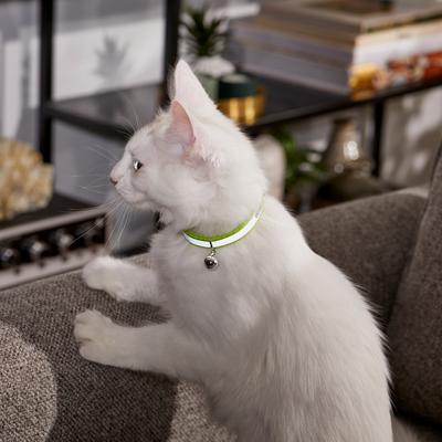 Show full view: Frisco Polyester Personalized Reflective Cat Collar with Bell, Lime Green, 8 to 12-in neck, 3/8-in wide slide 5 of 7