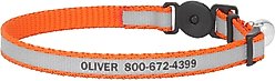 Frisco Polyester Personalized Reflective Cat Collar with Bell, Orange, 8 to 12-in neck, 3/8-in wide